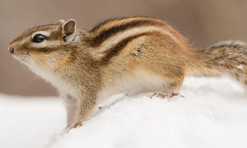 深圳零零柒壹壹安防科技公司轮播图3